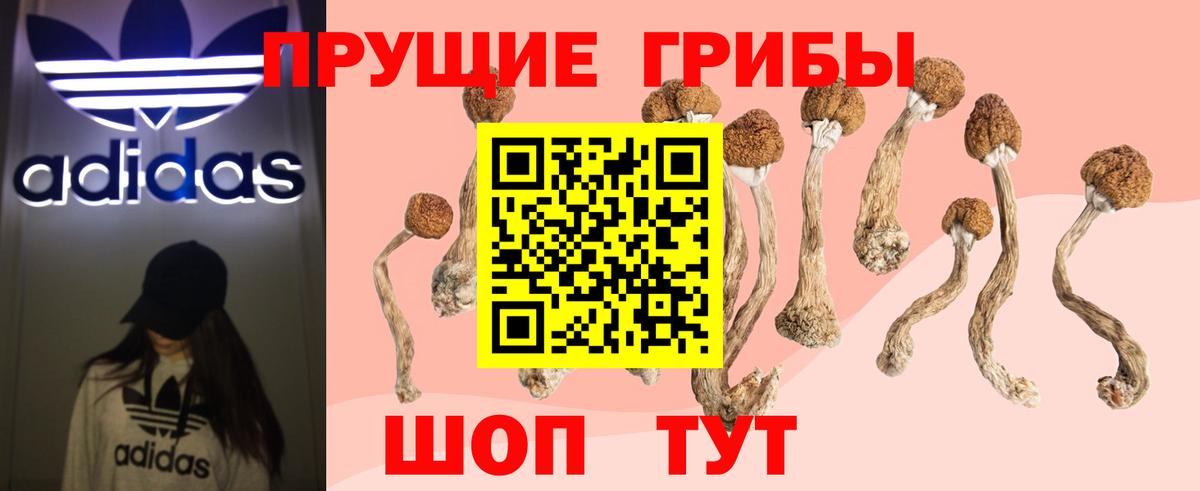 Псилоцибиновые грибы Magic Shrooms Каменск-Уральский